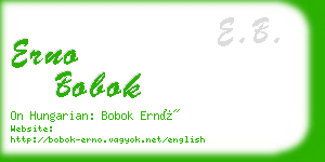 erno bobok business card